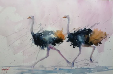 Graceful Ostrich Stride