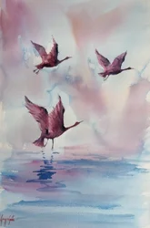 Graceful Pink Birds
