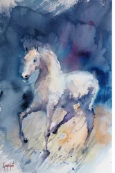 Graceful White Horse