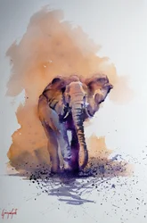 Majestic African Elephant