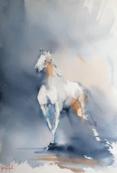 Majestic Horse Movement
