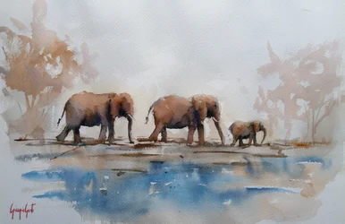 Peaceful Elephant Walk