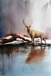 Reflecting Winter Stag