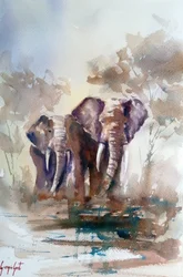Safari Elephant Reflections