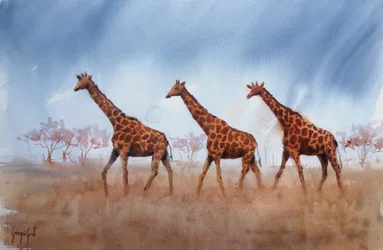 Safari Giraffe Trio