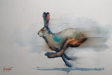 Speeding Watercolor Hare