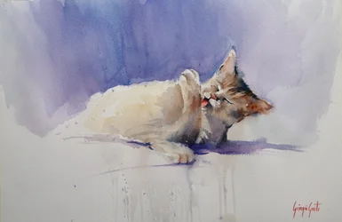 Sweet Cat Licking