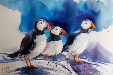 Three Puffins Watercolor