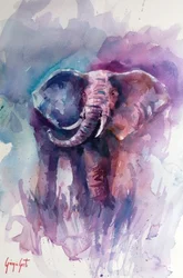 Vibrant Elephant Dream
