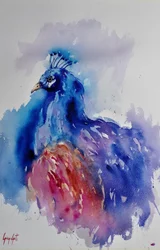 Vibrant Watercolor Peacock