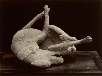 Dog, Pompeii, c.1870