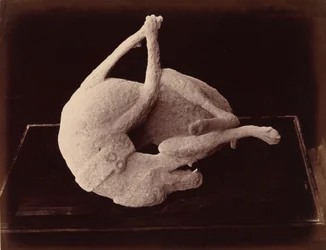Cast, Pompeii, c. 1870