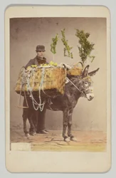 [Neapolitan Folk Scene]