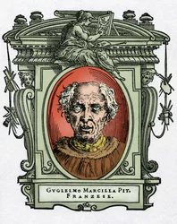 Portrait of William of Marcillat