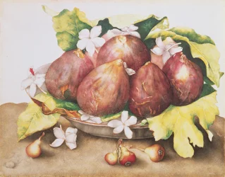 Figs on Leaves
