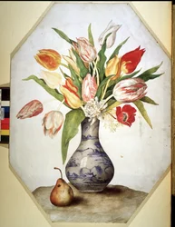 Unknown Image