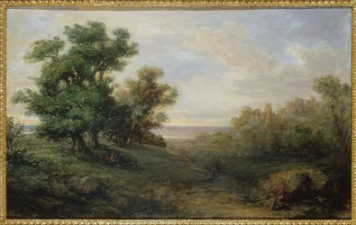 Landscape
