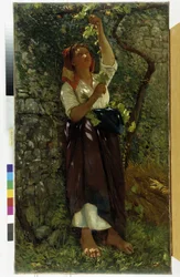 The Pruning of Vines