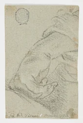 Study: A Left Hand in a Leaning Position