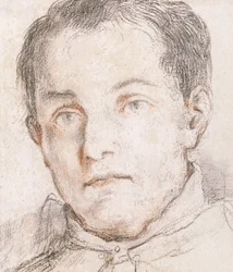 Portrait of a Young Man