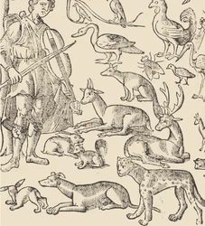 Essempio di Recammi, Page 12 Verso, 1530
