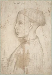 Bust of a Young Man in Profile