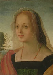 Portrait of a Young Girl