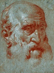 Head of a Venetian Patrician, Three-Quarter Face