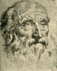 Head of an Old Man, Mid 18th Century