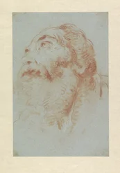 Head of an Old Man
