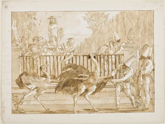 Punchinello with the Ostriches