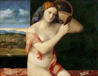 Naked Young Woman in Front of a Mirror
