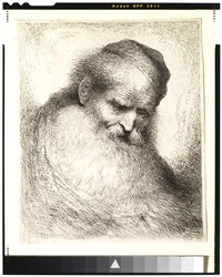 Bearded Old Man with His Head Leaning Forward, Wearing a Skull Cap, Facing Right