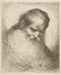 Head of a Bearded Old Man