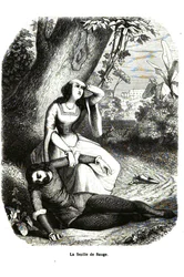 Decameron - Fourth Day, Story 7 - The Sage Leaf