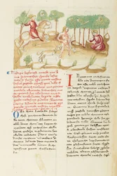 Decameron, The Infernal Hunt - Vision of Nastagio degli Onesti, Fifth day, story 8