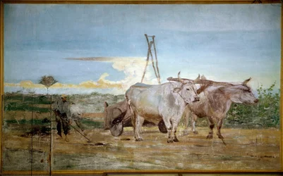 The animal manure collected