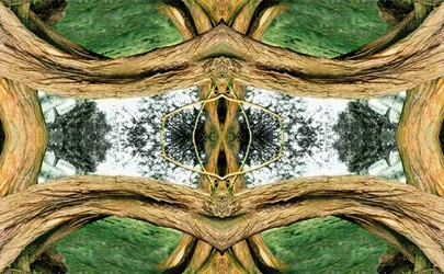 Unnatural 37