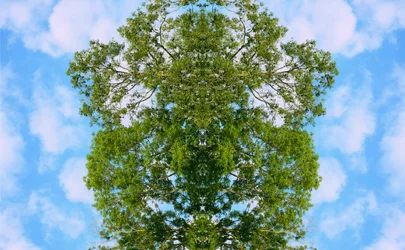 Unnatural 46