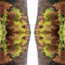 Unnatural 77