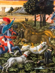 The Hunt