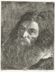 Man with Long Hair and Beard