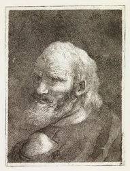 Old Man Represented from the Back