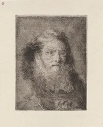 Old Man with Bare Head, from the Collection of Heads