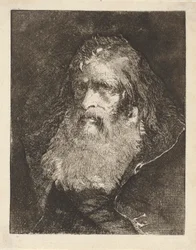 Old Man with Bare Head, from the Raccolta di Teste (Collection of Heads)