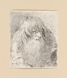 Old Man with a Beard and Long Hair, from the Raccolta di Teste (Collection of Heads)