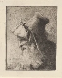Profile of an Elderly Man with a Beard, from the Raccolta di Teste (Collection of Heads)