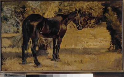 Dark Horse