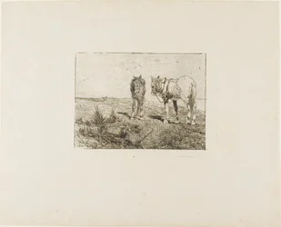 Horses