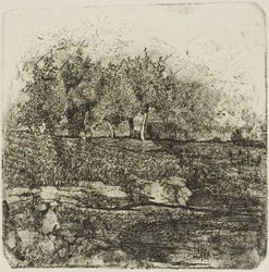 Trees in a Meadow